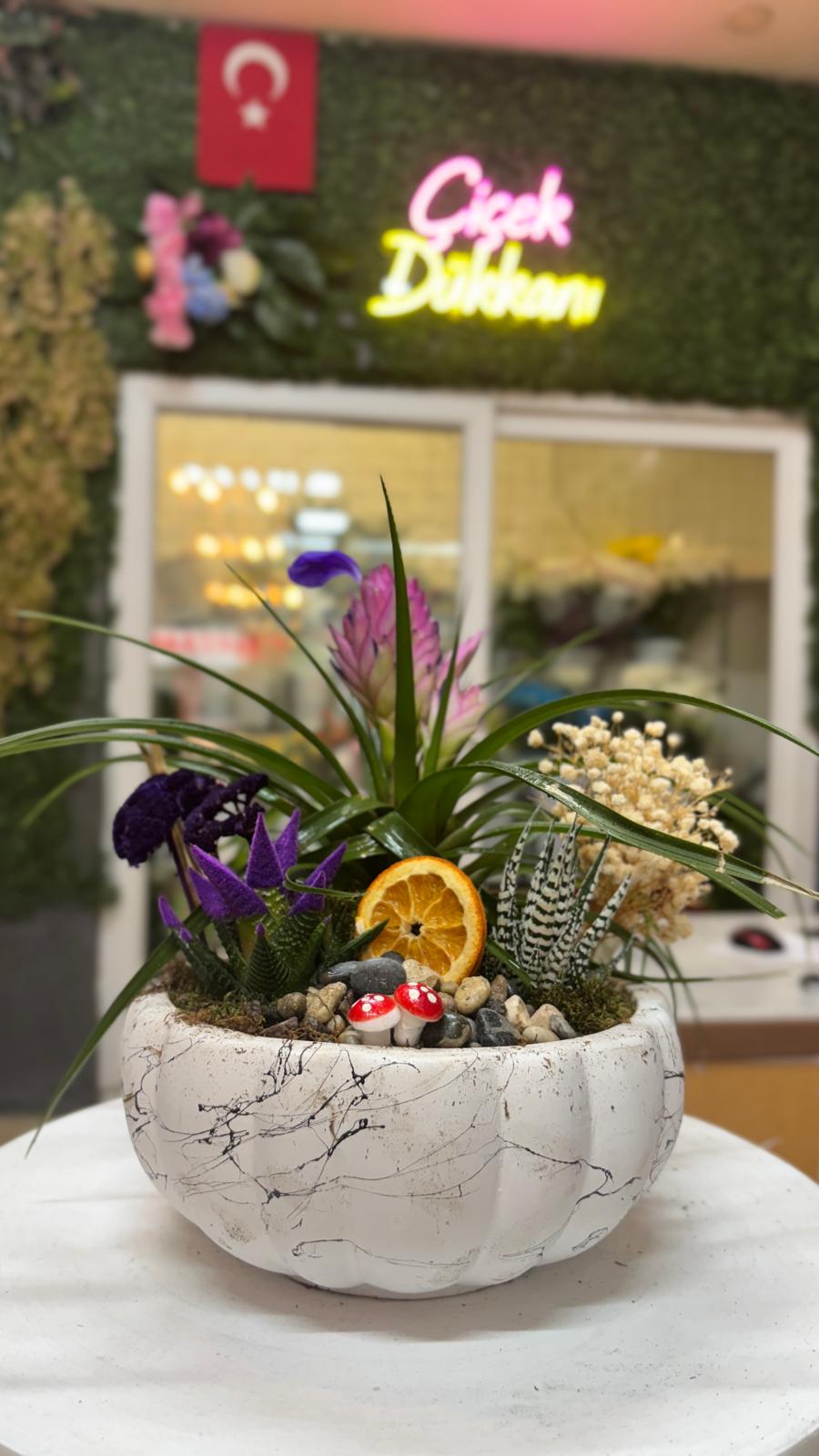 skulent-saksi-mix-57