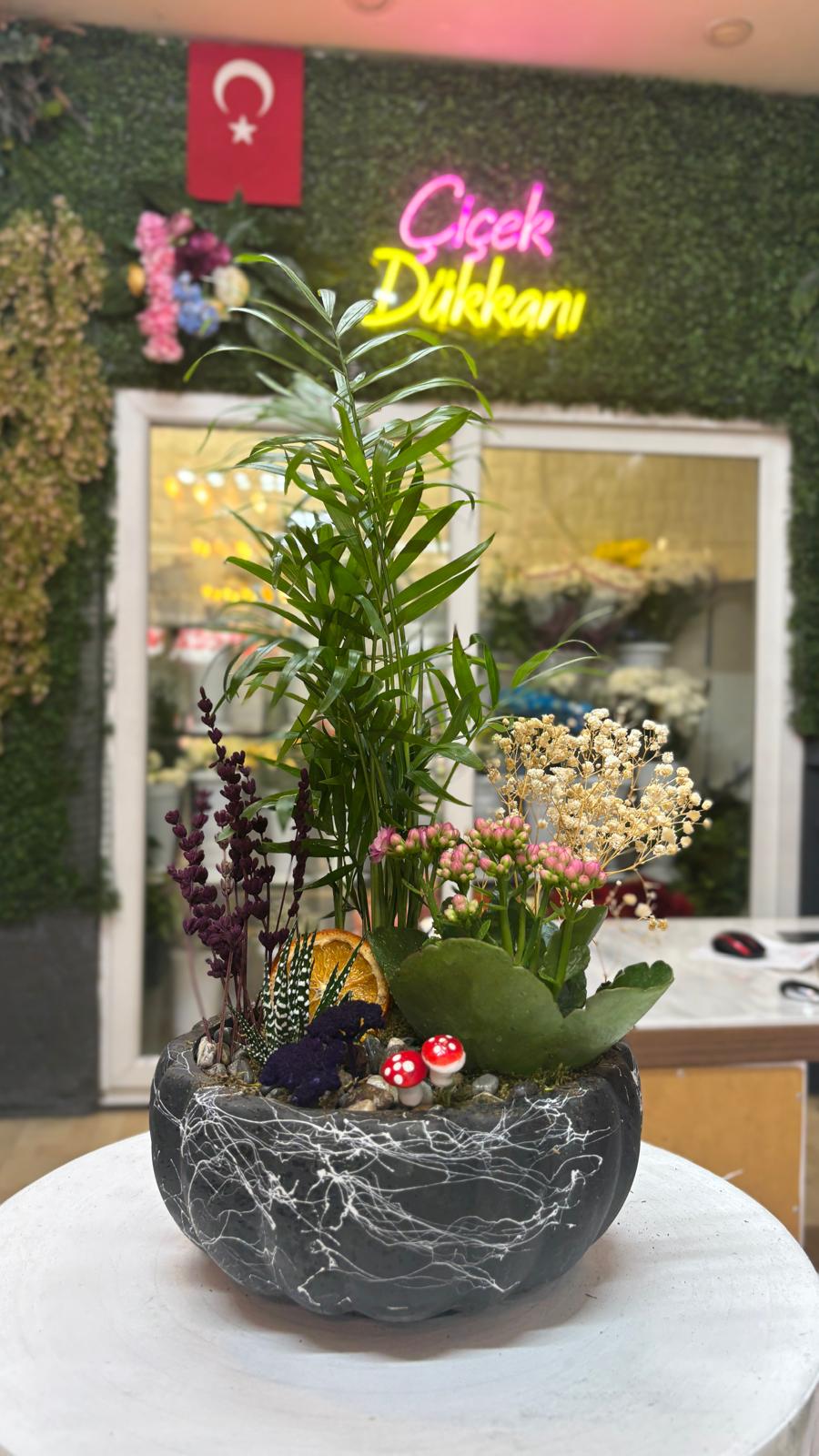 skulent-saksi-mix-56