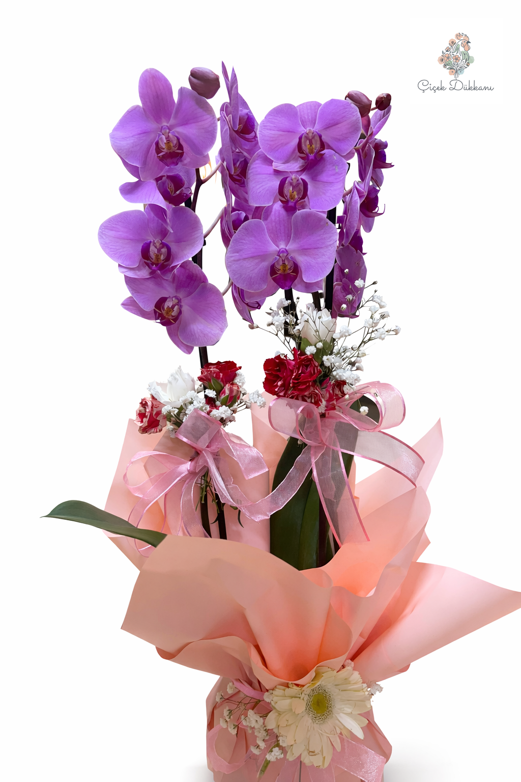 cift-dalli-mor-orkide