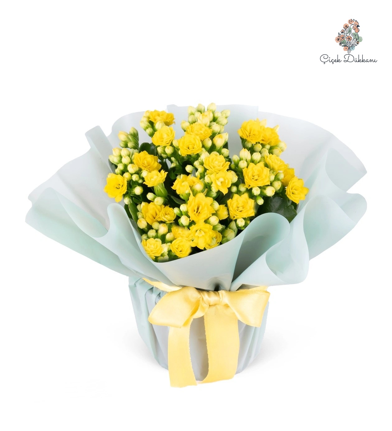 saksida-sari-emel-hanim