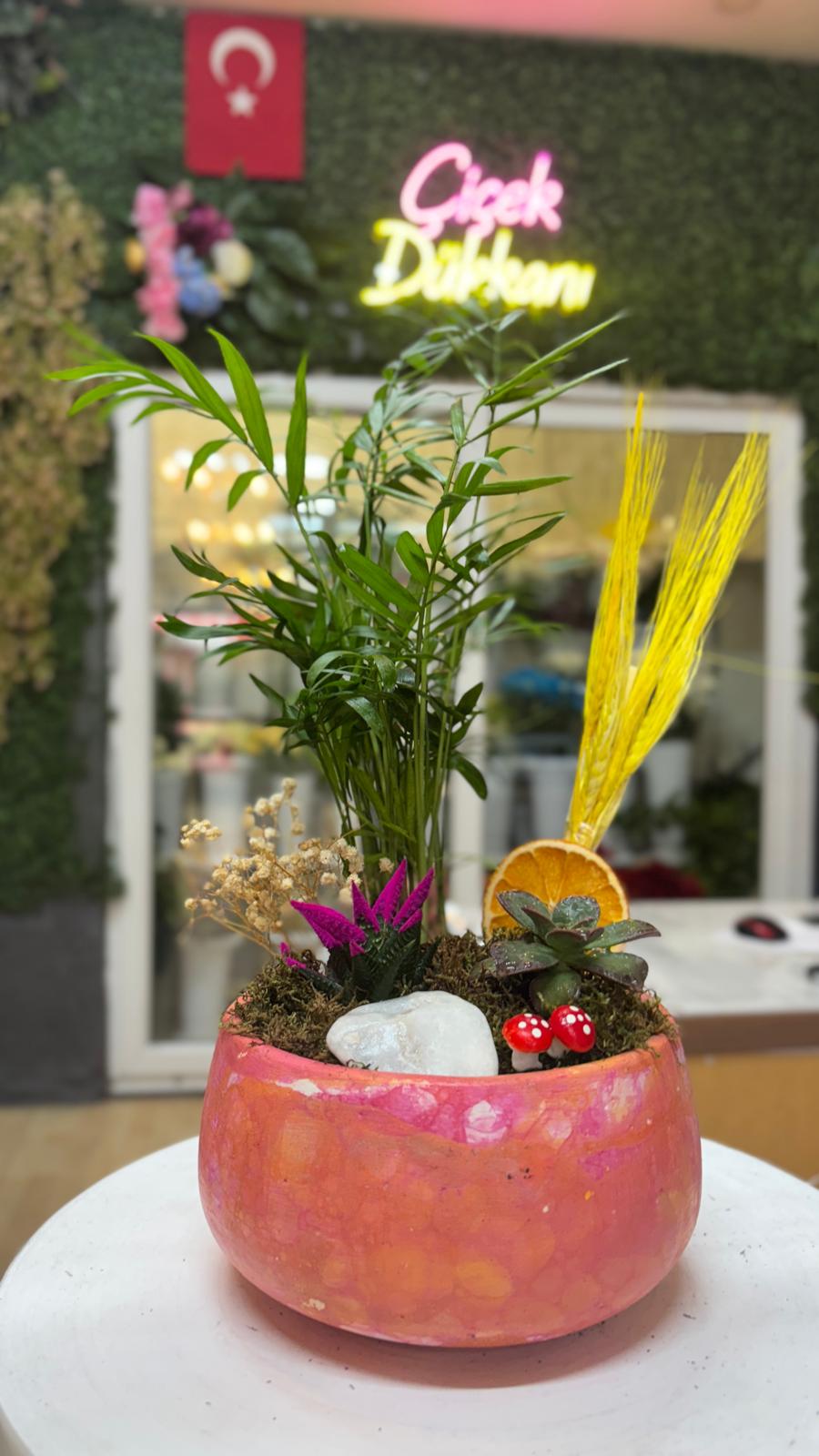 skulent-saksi-mix-62