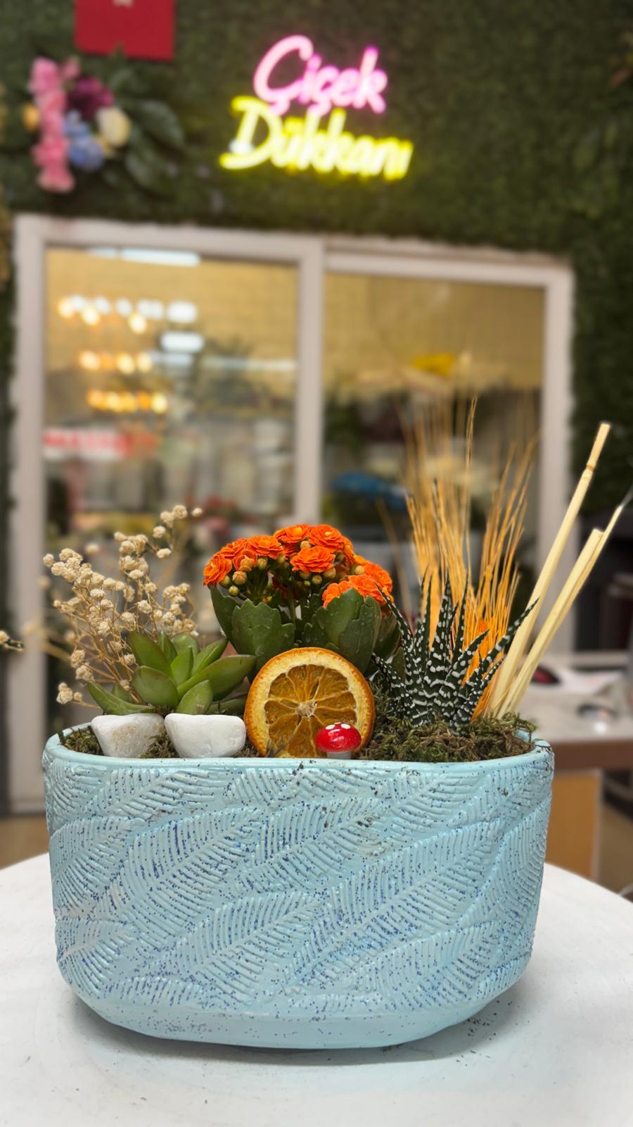 skulent-saksi-mix-55