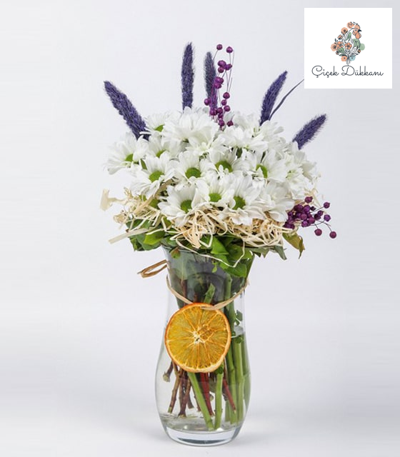 cam-vazoda-papatyalar