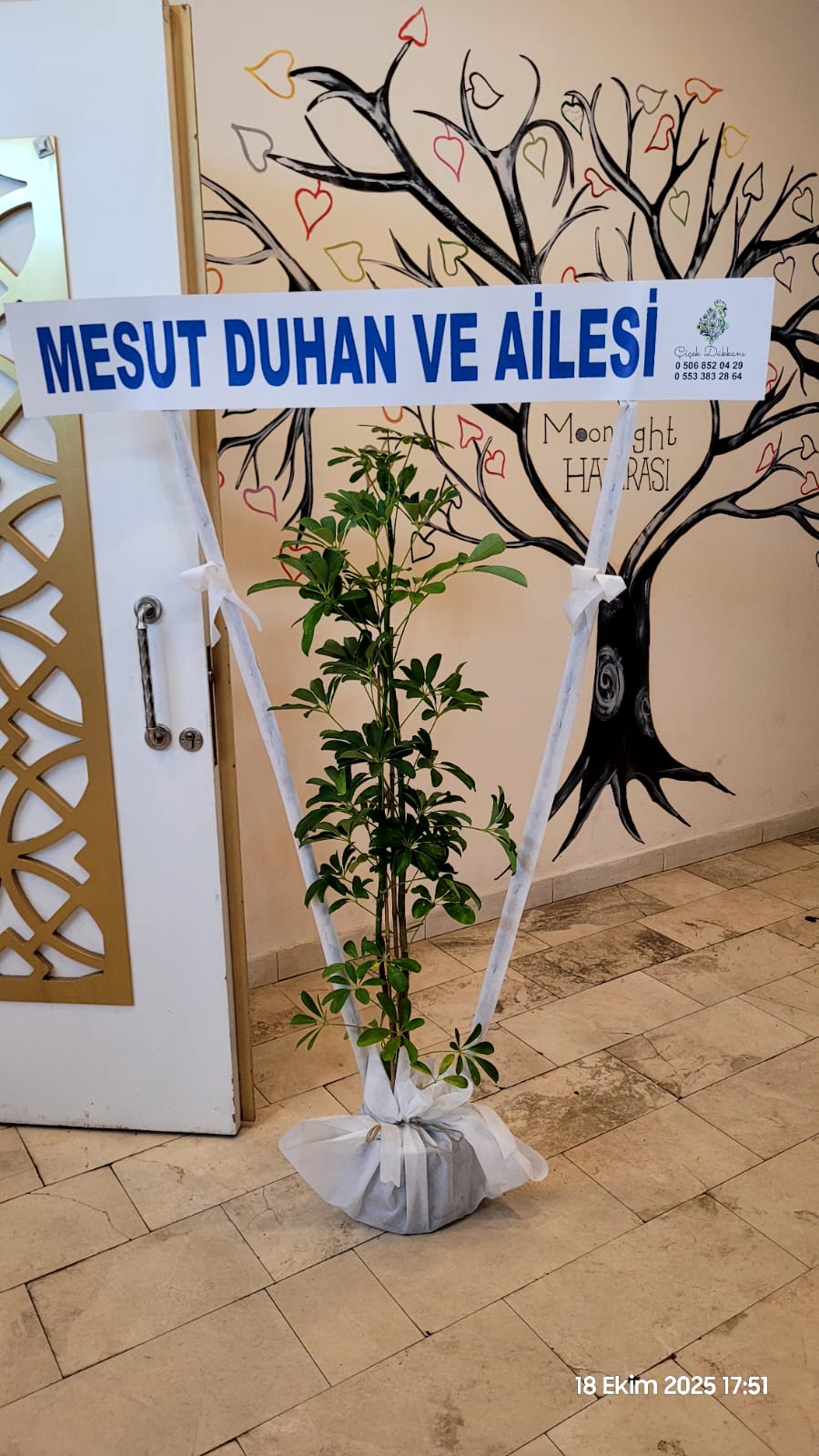 2-li-seflera-saksi-cicegi--14