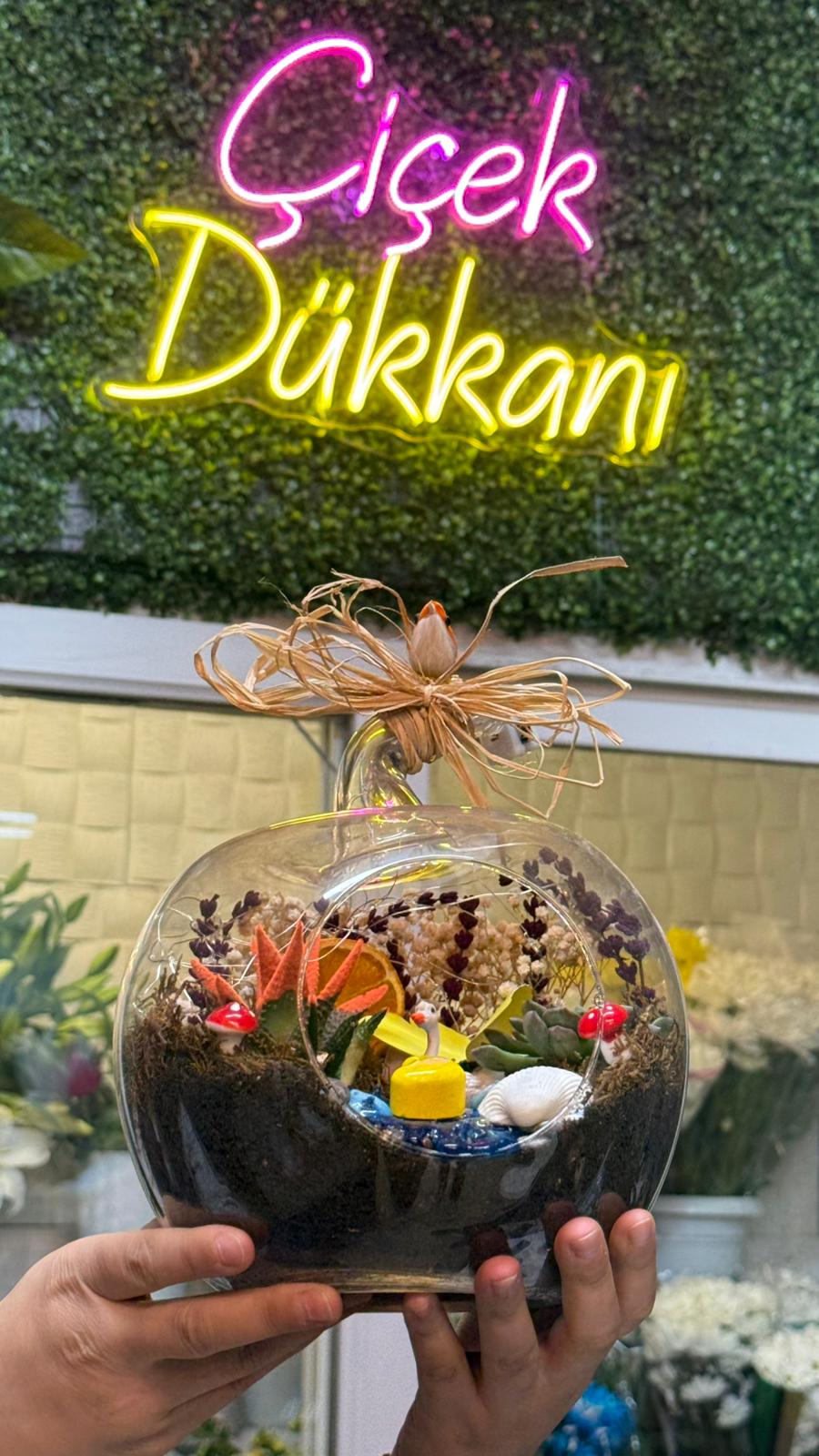 evinizin-bahcesi-tereryum--25