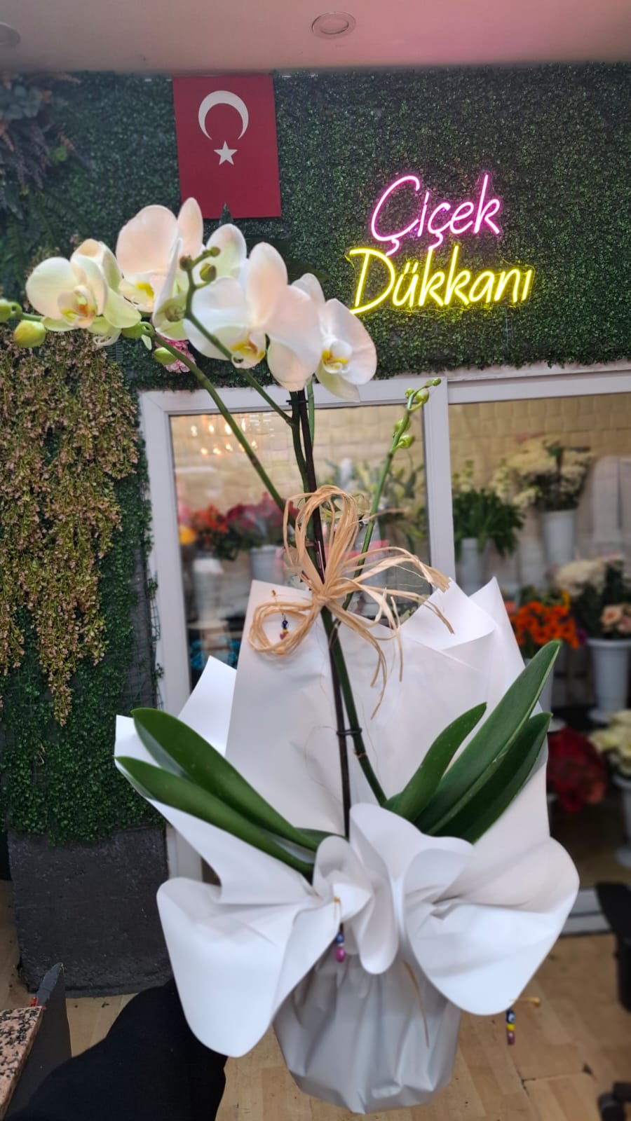 tek-dal-beyaz-orkide-74