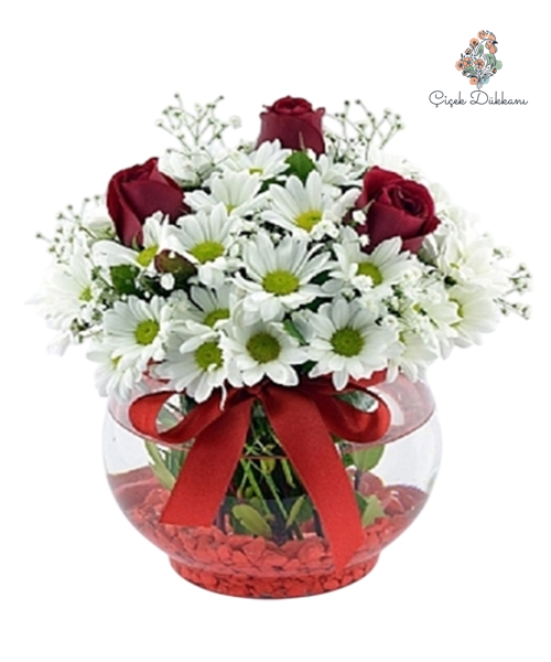 akvaryum-vazoda-papatya-ve-guller