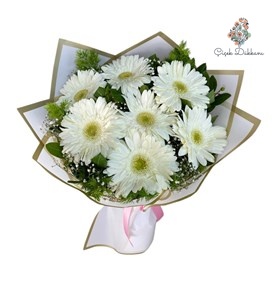 beyaz-gerbera-buketi