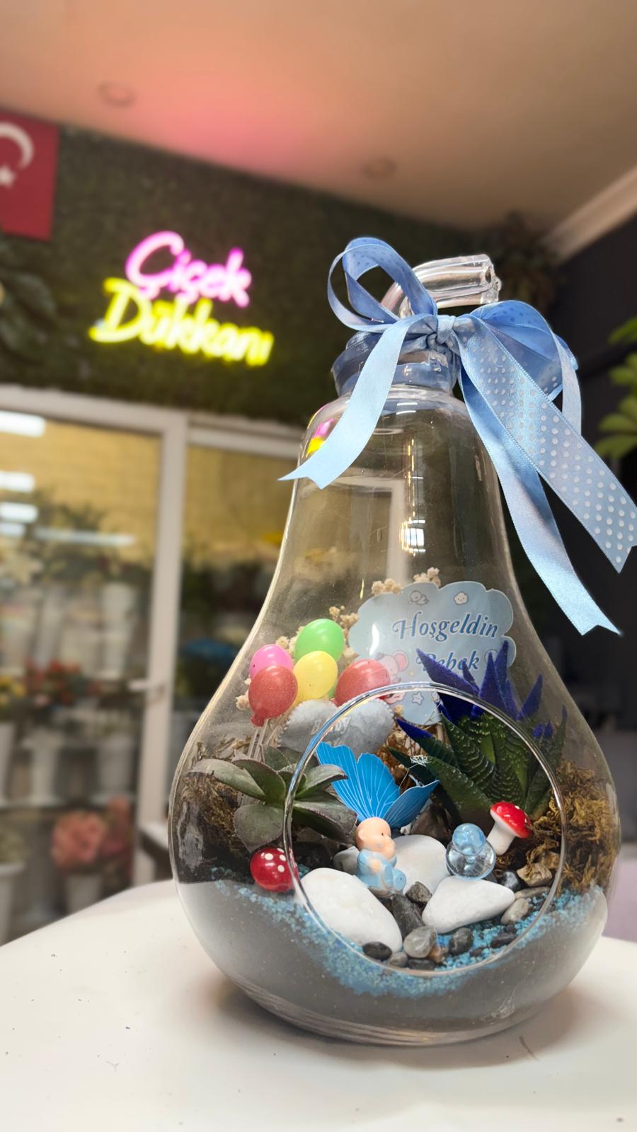 erkek-bebek-armut-tereryum-51