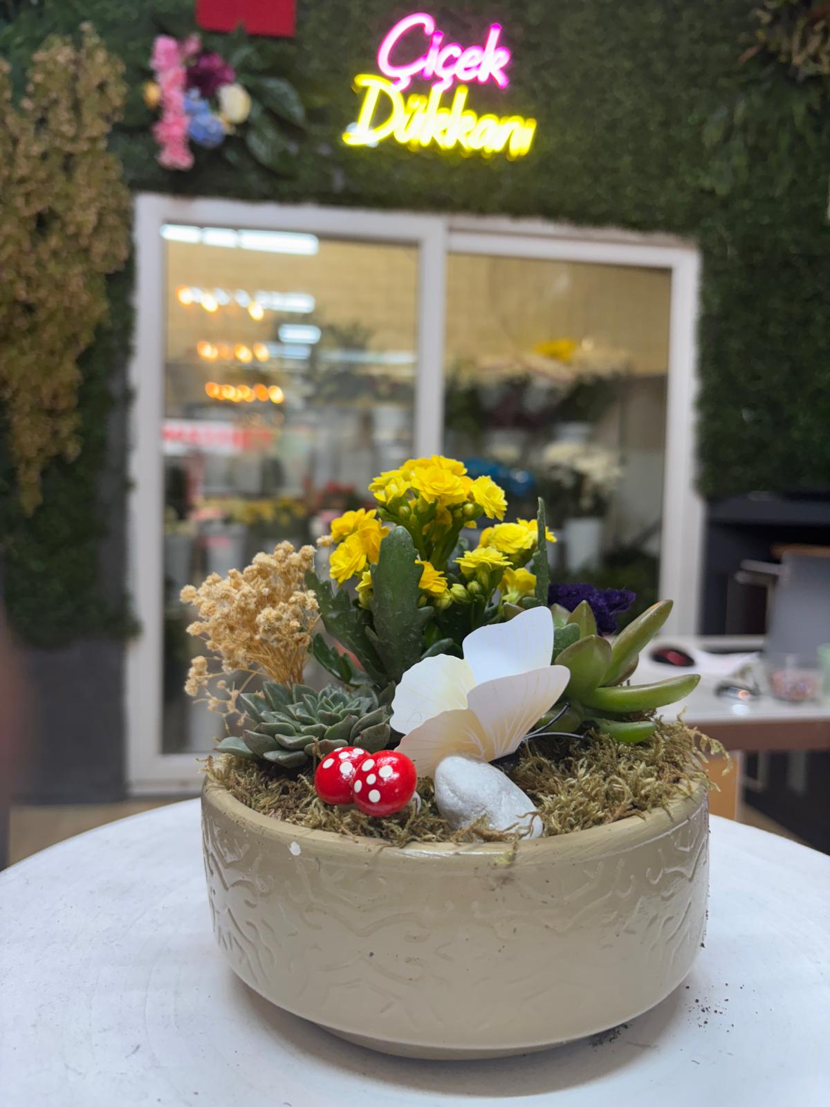 skulent-saksi-mix-54