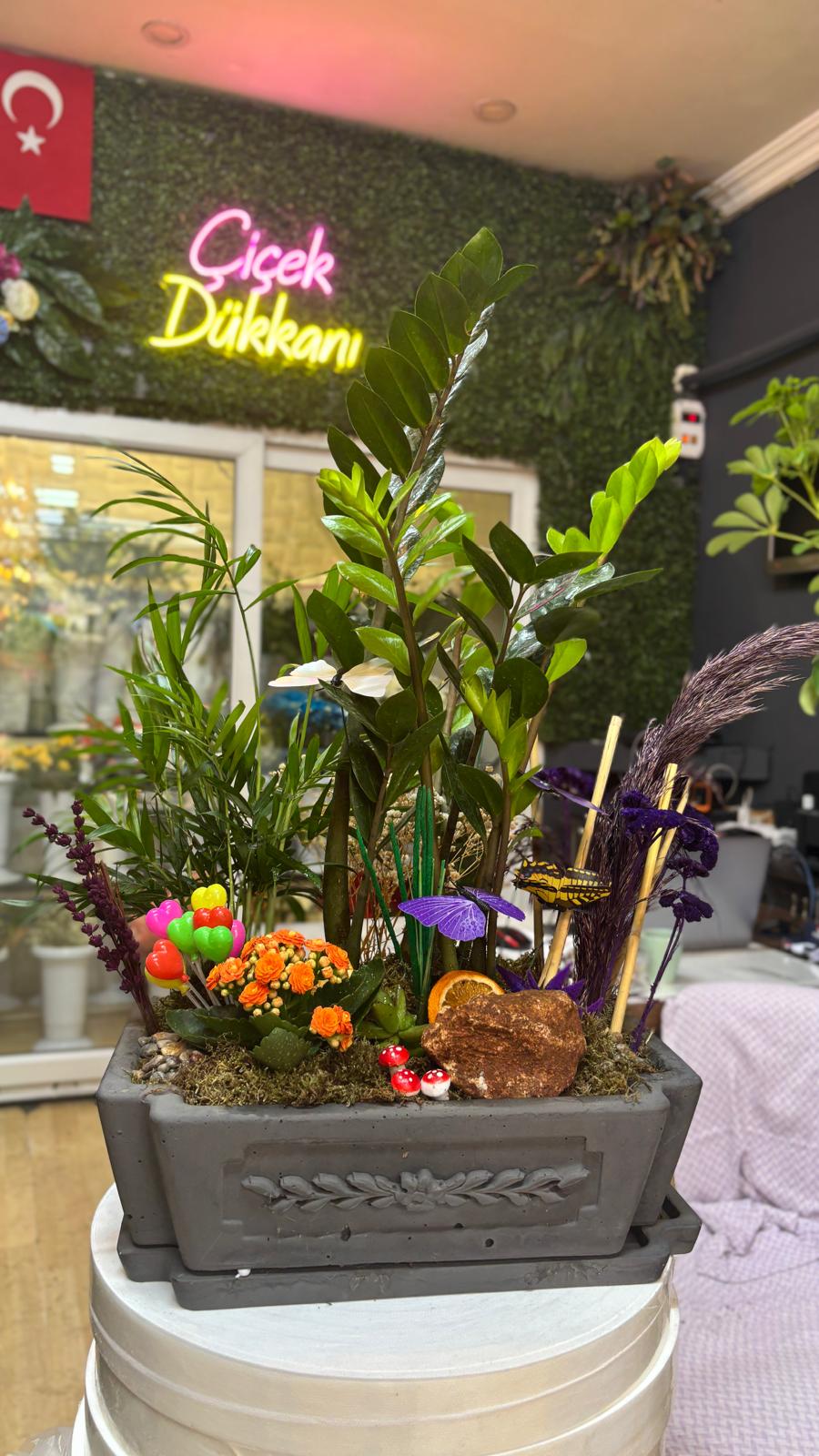 vip-mini-sukulent-mix-59